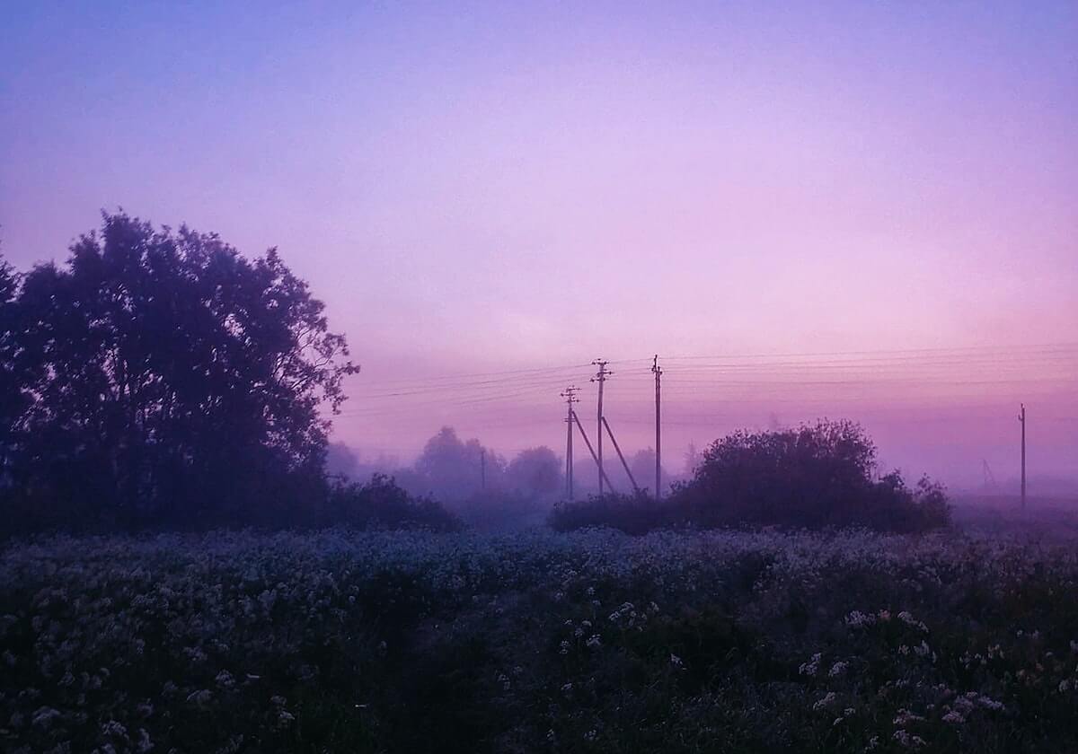 B体育平台：让每一次挥洒汗水都被记录、被放大