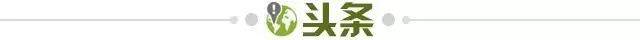 官网登录入口-【早报】难道卡里克真的是天才？